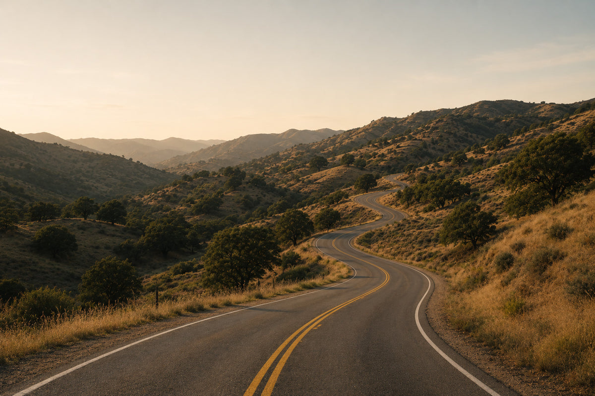 A winding paved road through rolling hills and trees under a pale sky, with dry grass and warm golden light across the landscape.