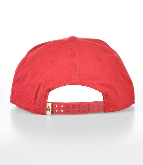 |color:DK Red